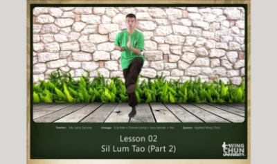 Applied-Wing-Chun-Lesson-002-Sil-Lum-Tao-(Part-2)-By-Larry-Saccoia-free-download