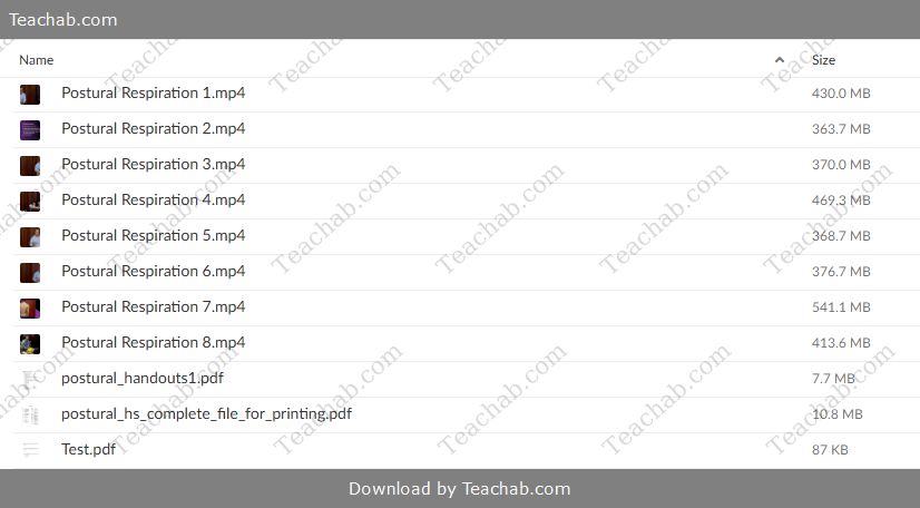 Postural-Respiration-2017-by-Postural-Restoration-Institute-free-download