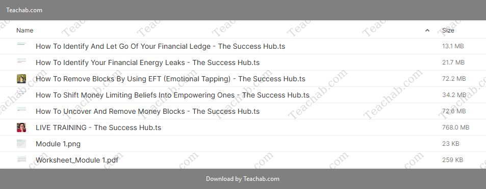 Massive-Money-Mindset-Reset-By-Cristina-Bold-free-download