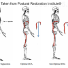 Postural-Respiration-2017-by-Postural-Restoration-Institute-free-download