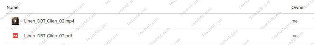 Dialectical-Behavior-Therapy-with-Suicidal-Clients-Vol-2-with-Marsha-Linehan-free-download